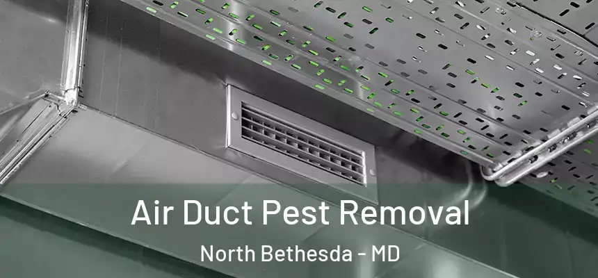 Air Duct Pest Removal North Bethesda - MD