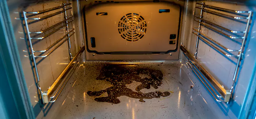 Our Dryer Vent Mold Cleaning Services in North Bethesda, MD