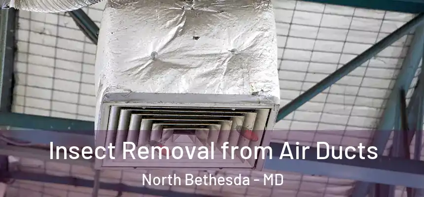 Insect Removal from Air Ducts North Bethesda - MD
