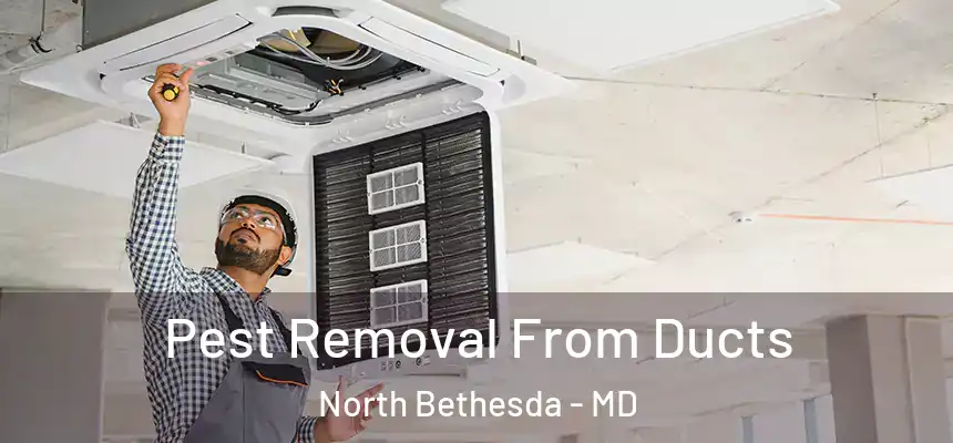  Pest Removal From Ducts North Bethesda - MD