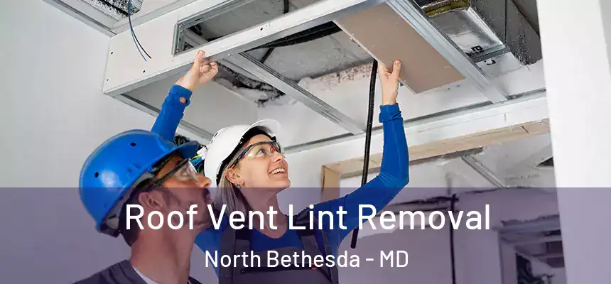  Roof Vent Lint Removal North Bethesda - MD