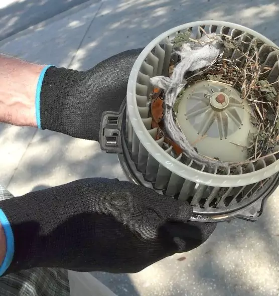 About Air Duct Rat Removal in North Bethesda, MD