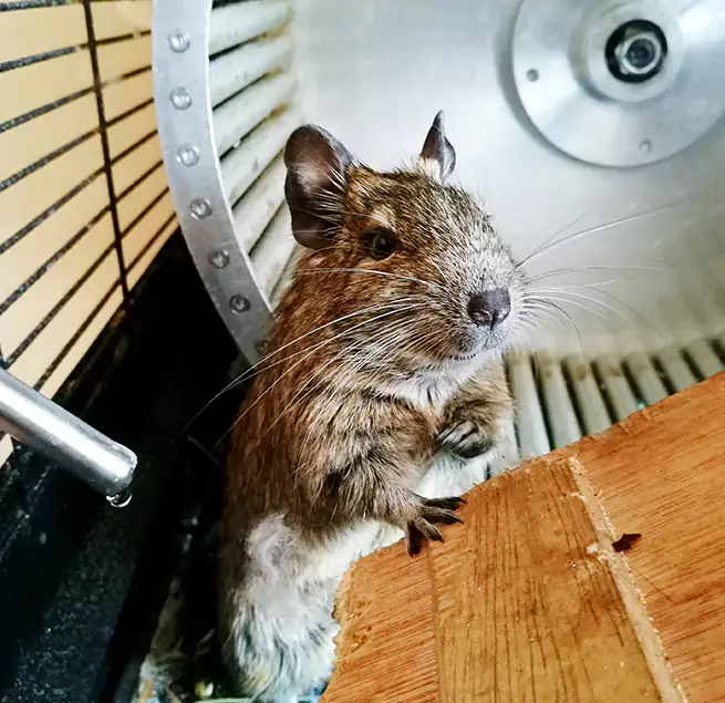 Why Homeowners & Businesses Trust Us North Bethesda, MD?